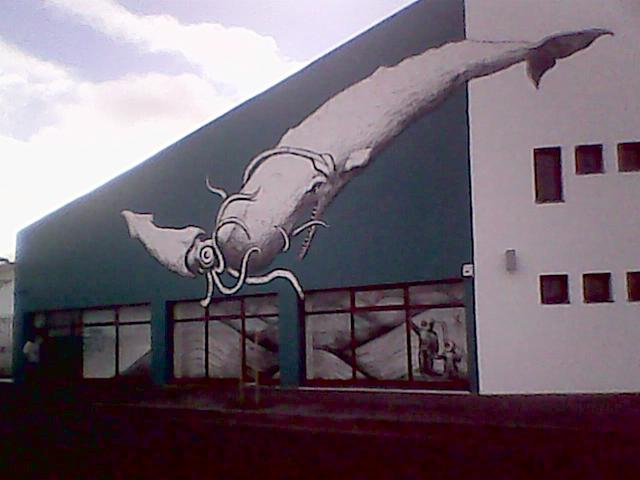 Museo del cachalote y el calamar