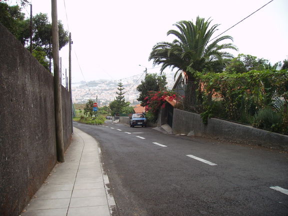 El camino de los grandes jardines de Madeira