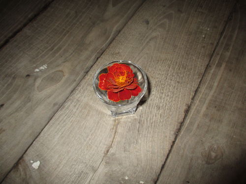 flor roja en vaso de chupito sobre mesa de madera