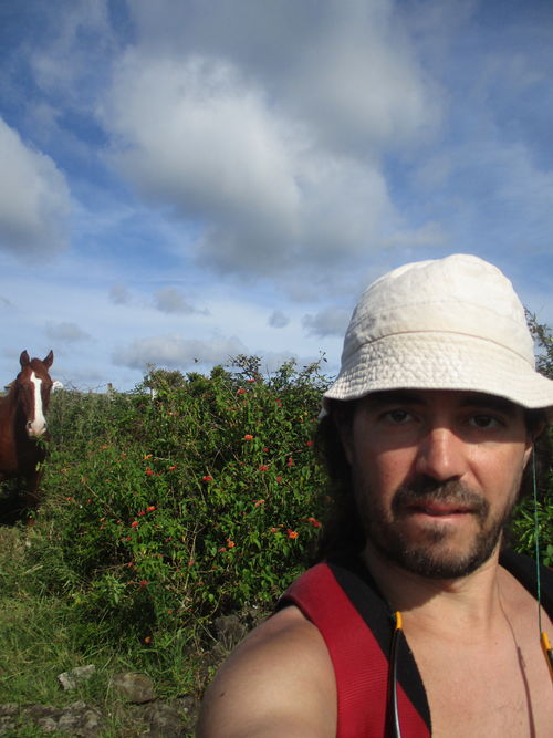 Selfie con el caballito del camino de Brasil