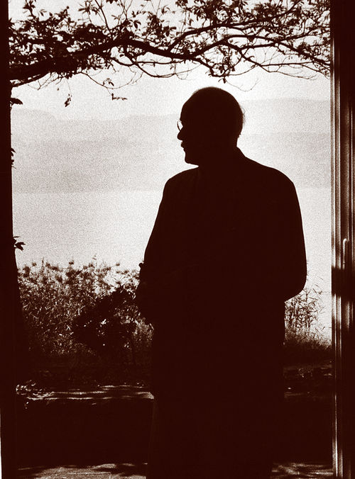 Jung pensando mirando el Lago de Zurich