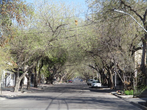 Típica calle de Mendoza (Argentina) con escoba colgando de los cables de la luz