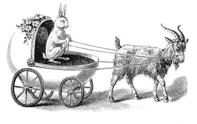 El conejo llevando las riendas de su vida durante el año de la cabra 2014