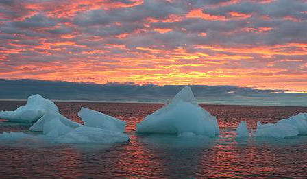Icebergs flotando en el mar
