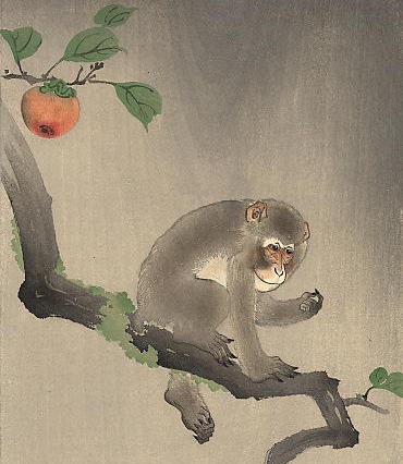 mono en árbol
