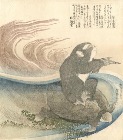 El Mono de Fuego cabalgando sobre la Tortuga del destino en 2016