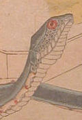 Snake drawn by Hokusai